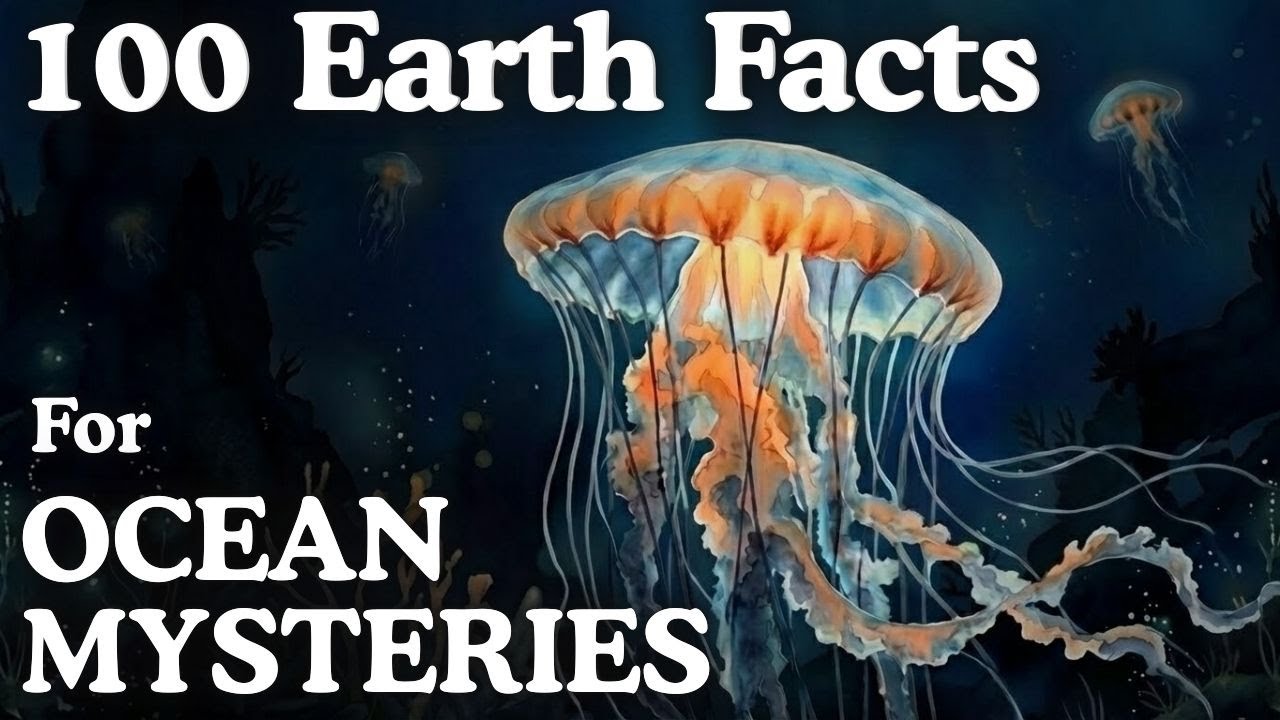 Why Is the Ocean So Deep? Gentle Earth Facts for Sleep