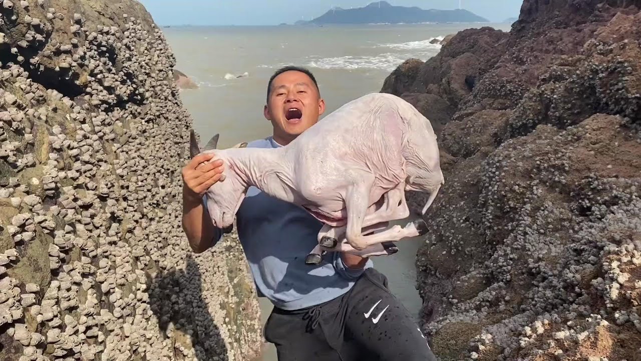 Используя целую дорогую козу в качестве наживки, лужи полны крупной рыбы.