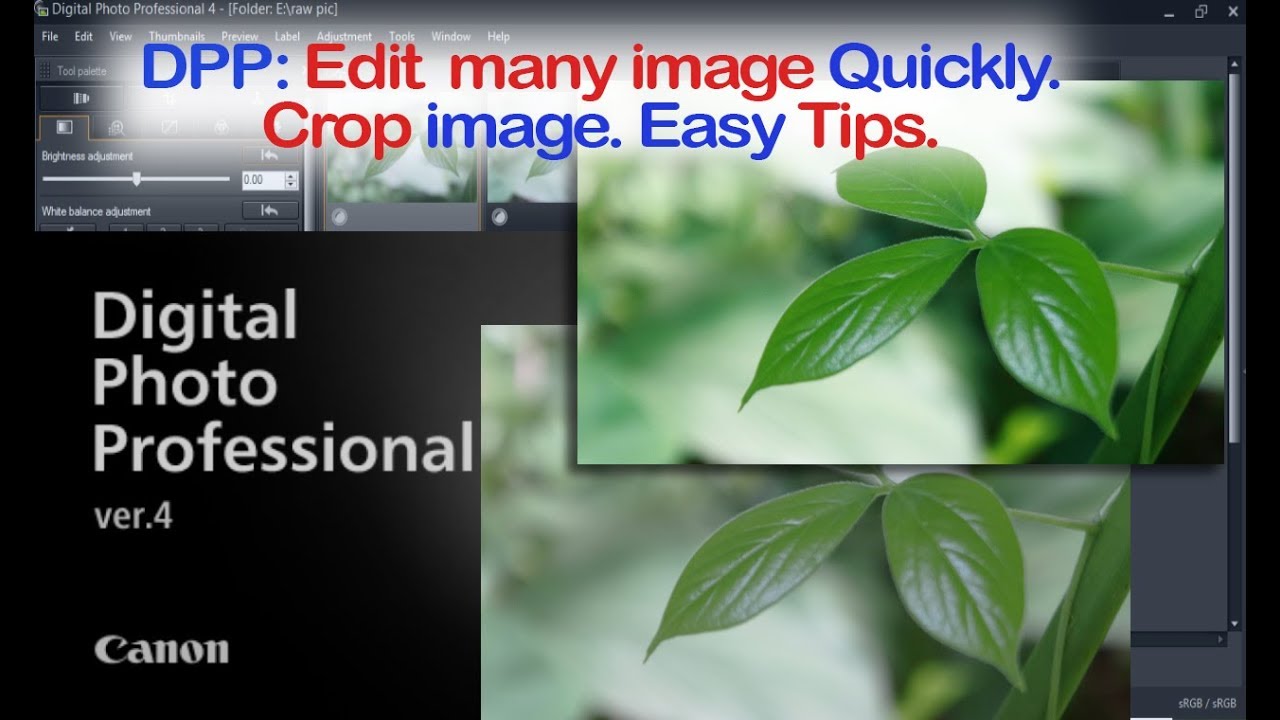 Digital Photo Professional (DPP) 4 Edit Many Images Perfectly & Crop Quickly