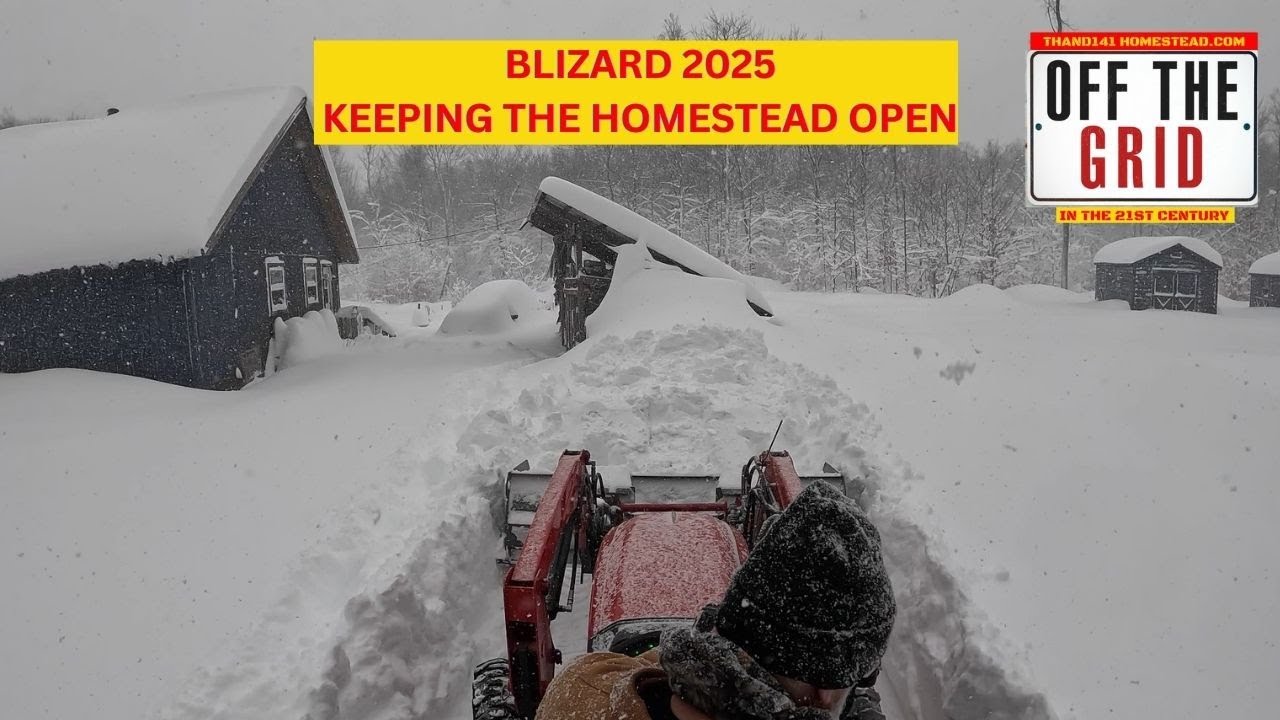 Blizzard of 2025! Day one of digging out!