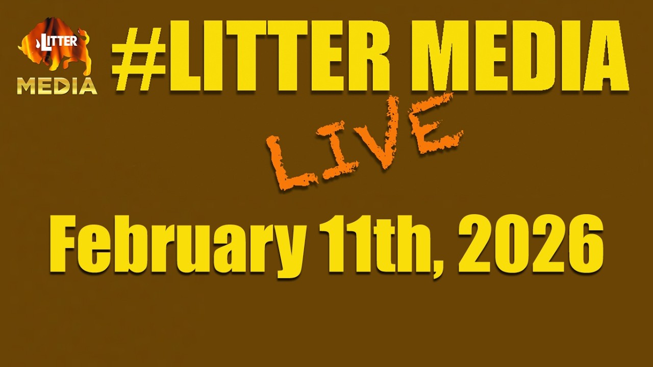 #LitterMediaLIVE в среду, 11 февраля 2026 года