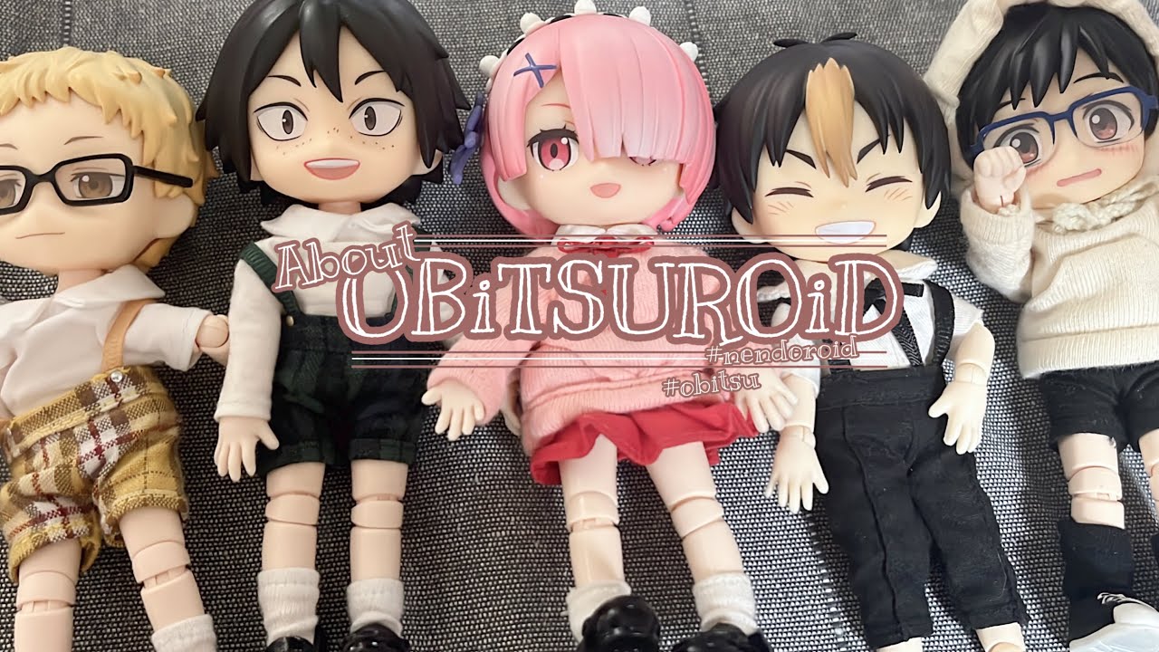 오비츠로이드에 대한 모든것 | 오비츠11 | 넨도로이드 | obitu11 | nendoroid | 인놀 | 관절인형