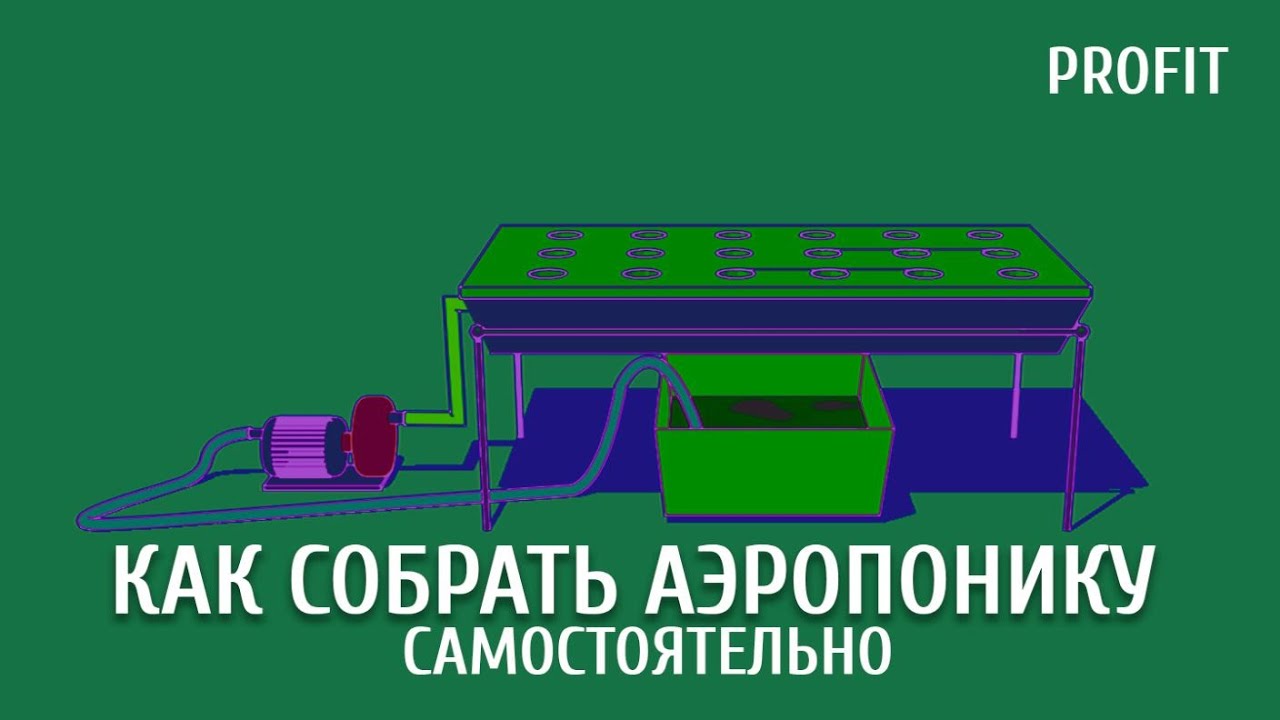 АЭРОПОНИКА / КАК СОБРАТЬ САМОМУ