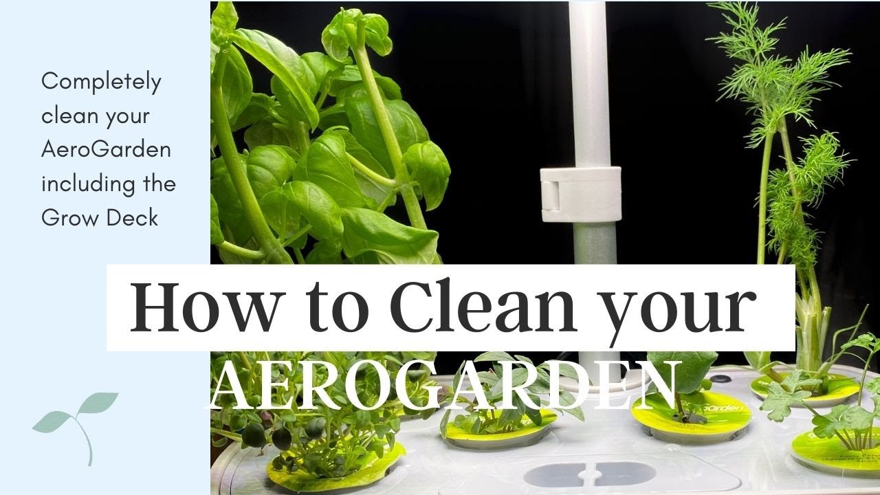 How to Clean your AeroGarden and Grow Deck (Harvest Elite)