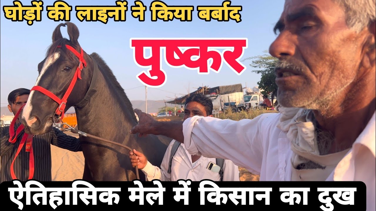 #पुष्कर में हायफ़ाई टेंटों ने झकझोर किया आम किसानों को 😞😞 क्या होगा हमारा