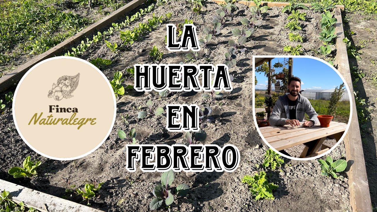 La #huerta en #febrero.