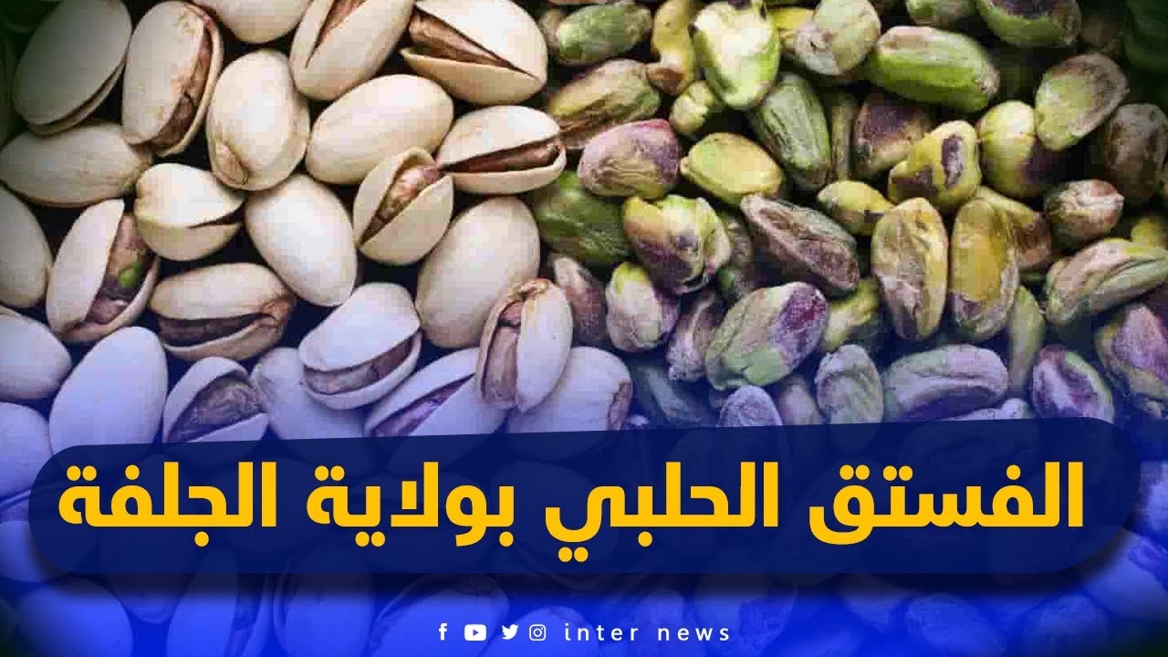 المشروع الوطني حول زراعة الفستق الحلبي بولاية الجلفة