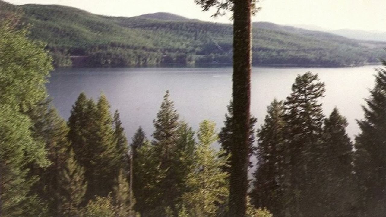 [free] nostalgic emo instrumental - "sometimes" (wisssery)