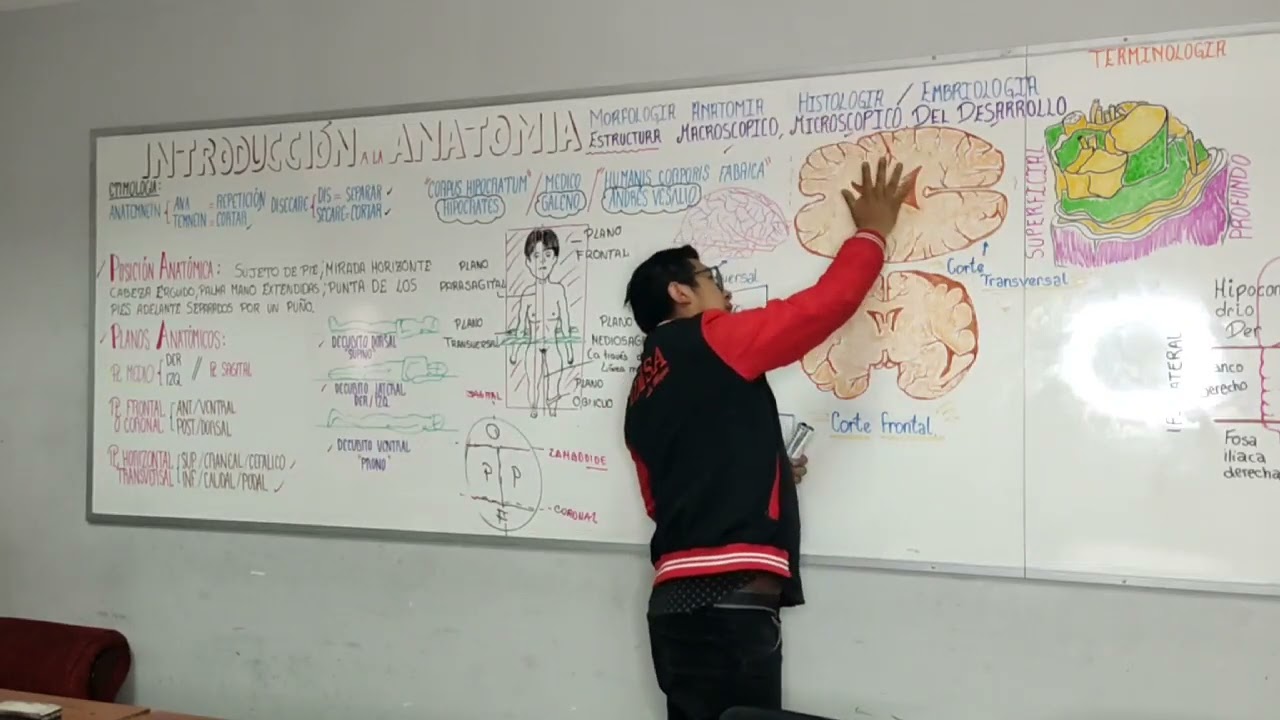 Introducción a la Anatomía - Tema # 1 - UMSA/Cs. De la Salud