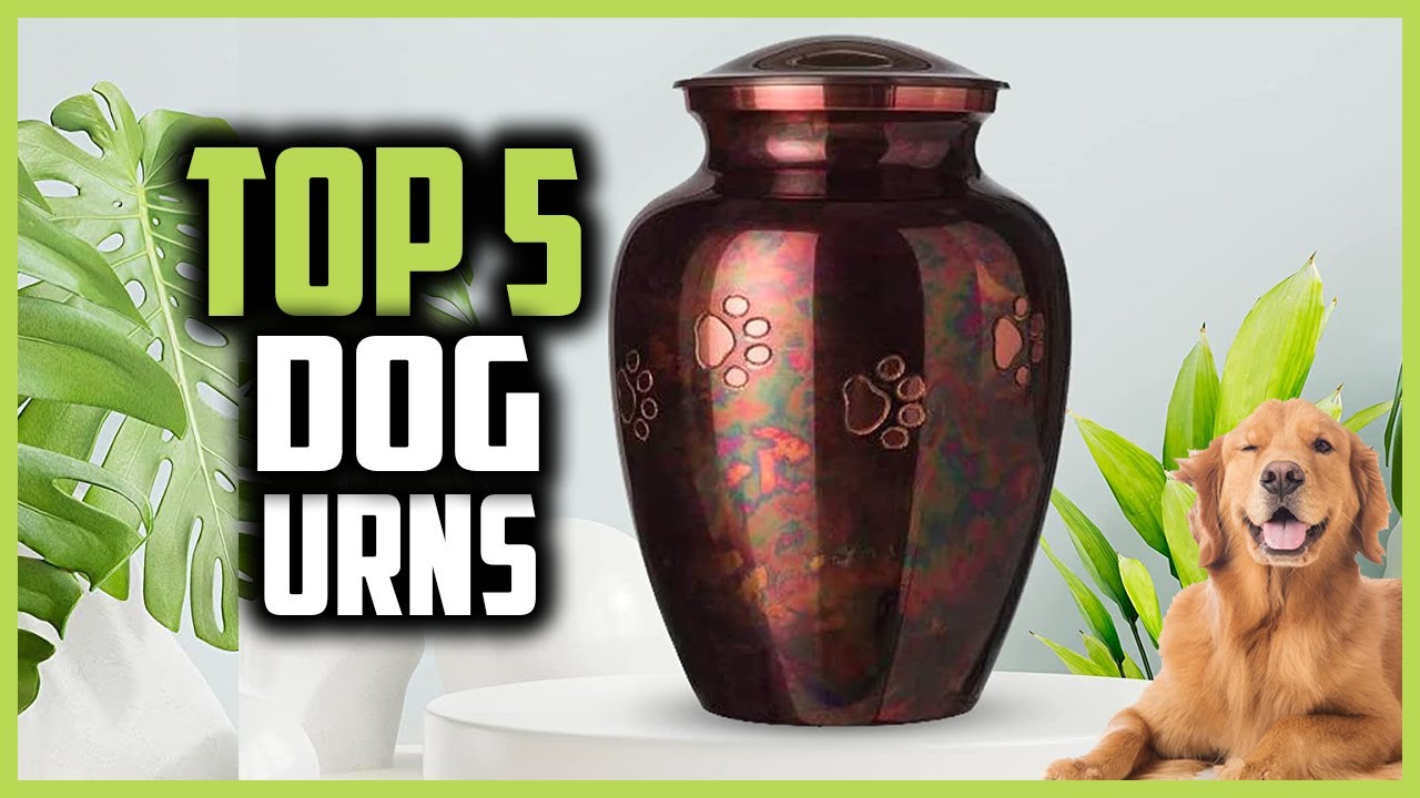 ✅ Top 5 Best Dog Urns of 2024