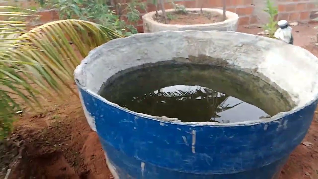 APÓS AS  CHUVAS  FOMOS FAZER LIMPEZA NA NOSSA ROÇA 