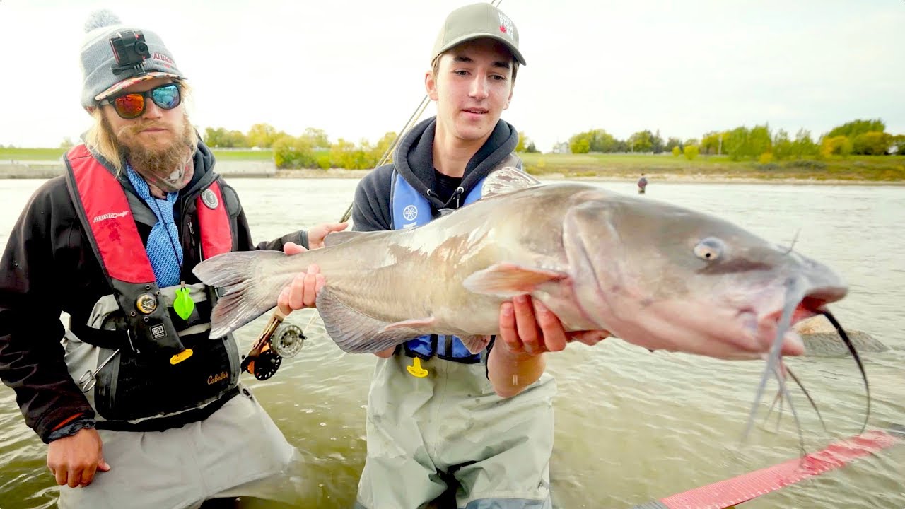 Fly Fishing for Catfish?!?!! - Red River, Manitoba