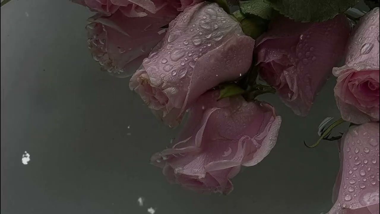 (FREE) ISAIAH RASHAD TYPE BEAT | 