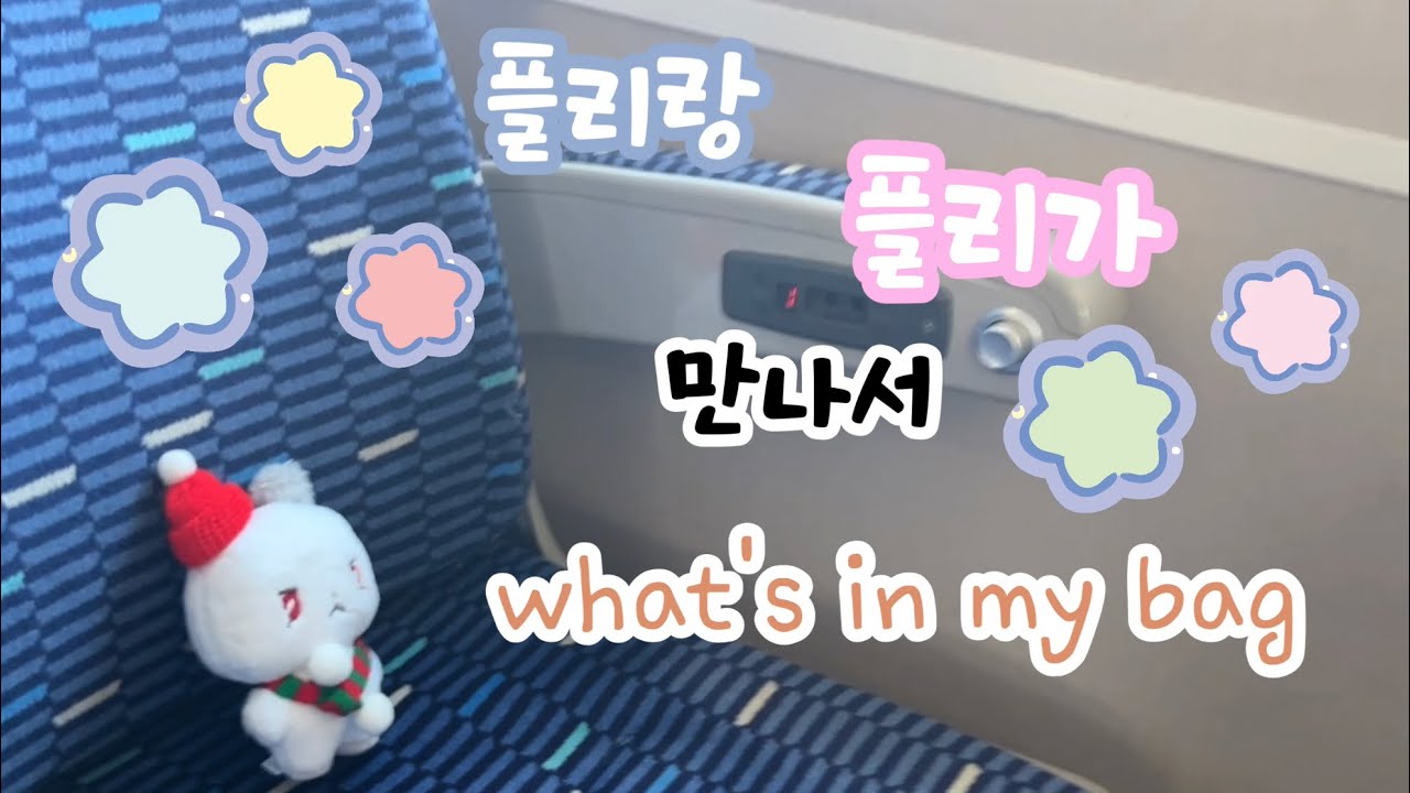 [플리로그]플리끼리 만날 때 큰가방이 필요 한 이유 #플리로그 #플리 #왓츠인마이백 