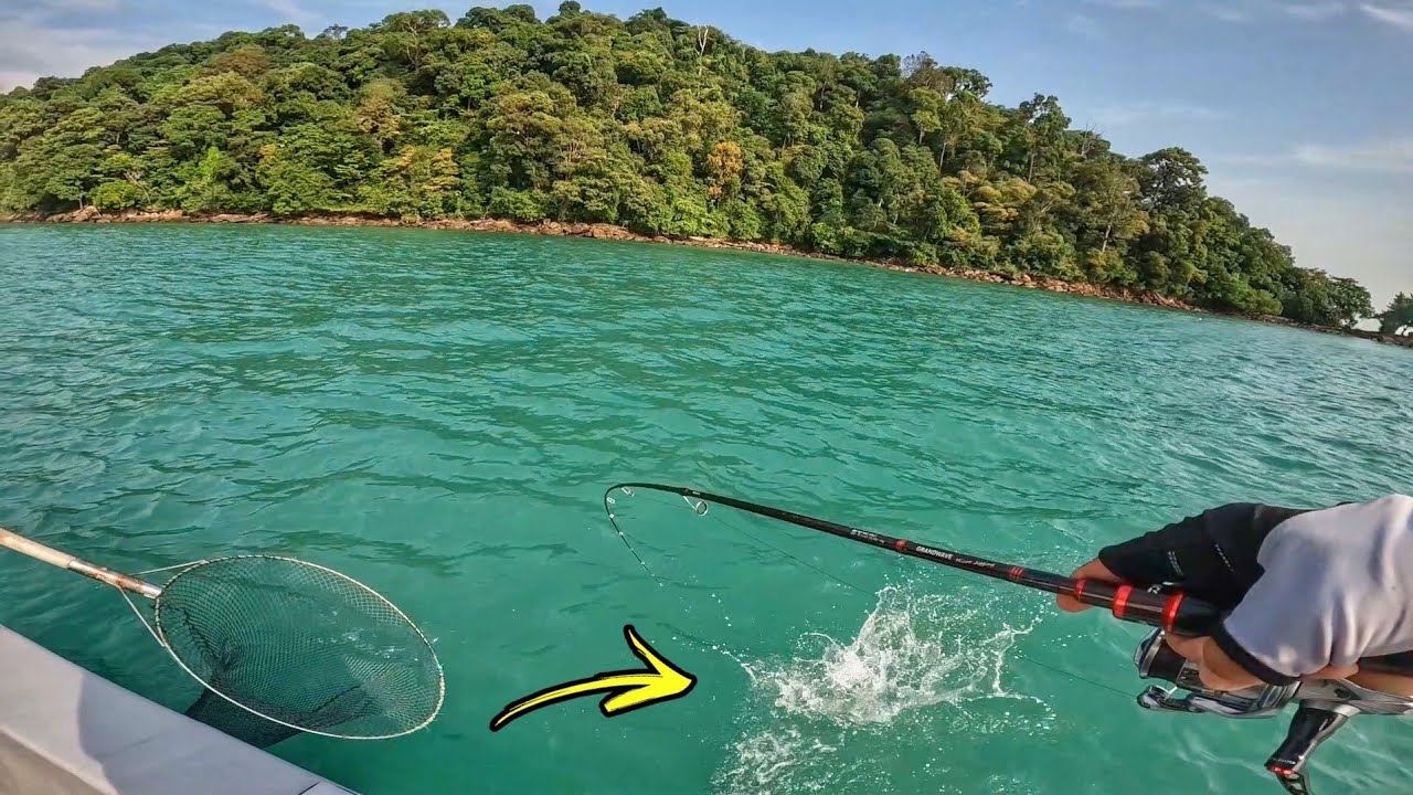 DISERANG SENANGIN PULAU KENDI! | CHAIFishing