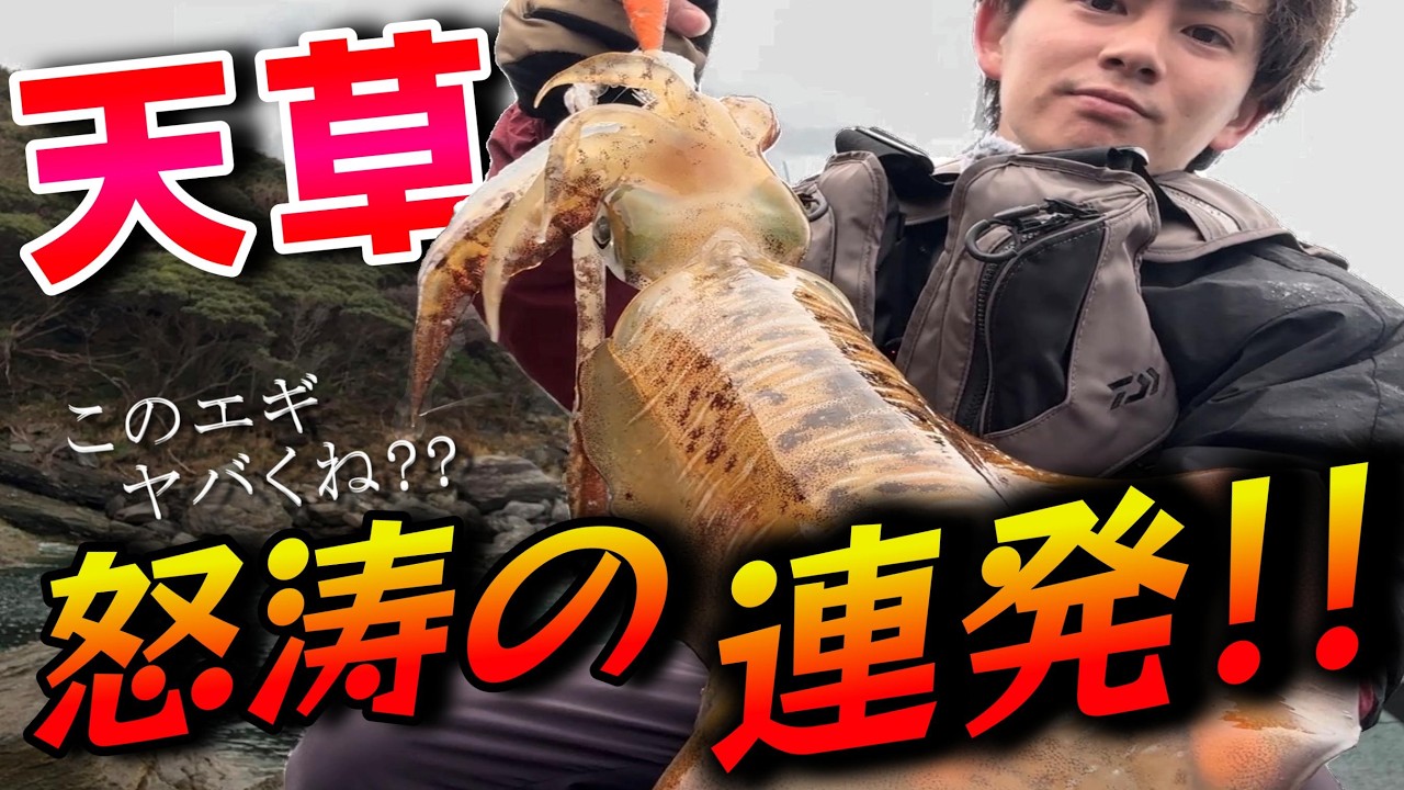 [絶対に損はしないエギ!?]早春の天草エリアでイカを連発させるこのエギがヤバすぎる!?