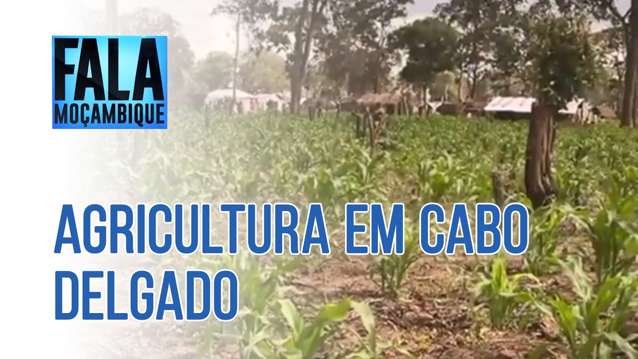 AGRICULTURA EM CABO DELGADO, 02/02/2022