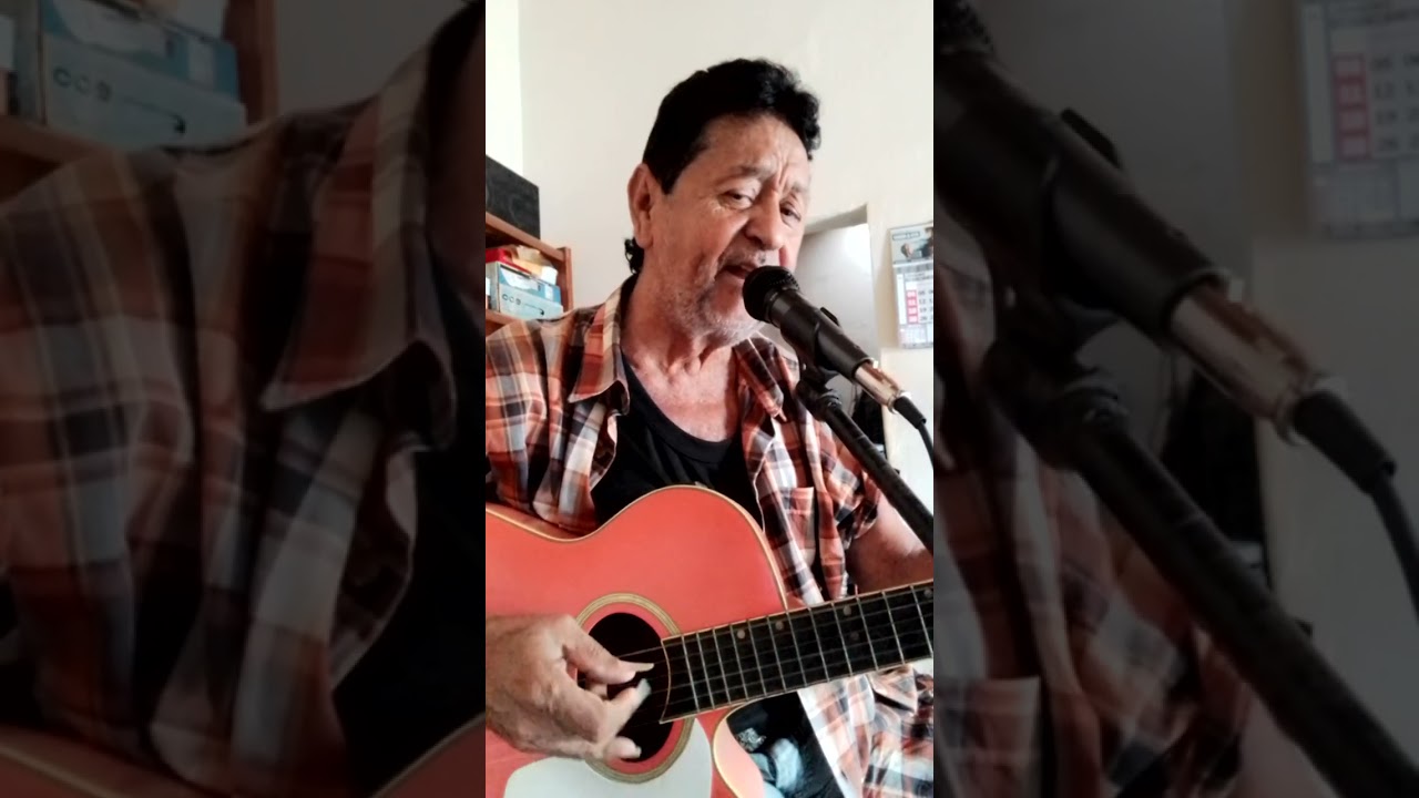 Não aprendi dizer adeus versão leonardo canta hernani gregorio voz e violão. 