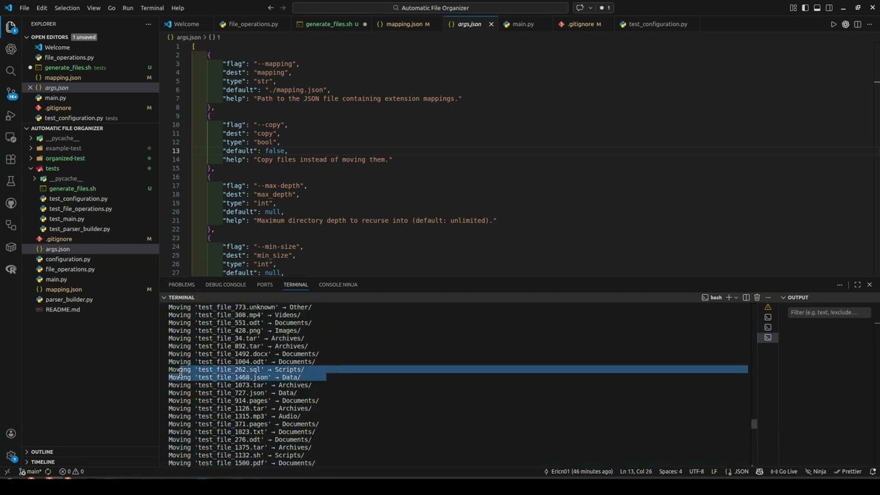 Automatic File Organizer Script Showcase