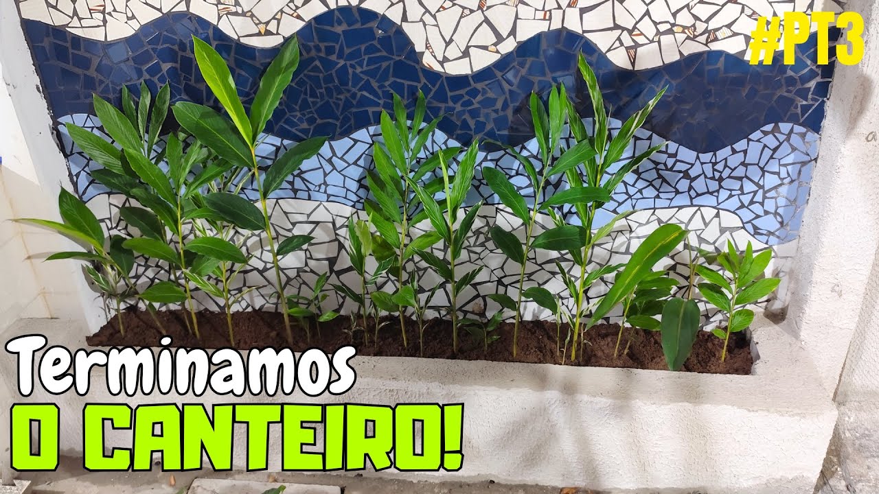 Construindo um canteiro do ZERO PT4 - Chegou a hora de plantar!