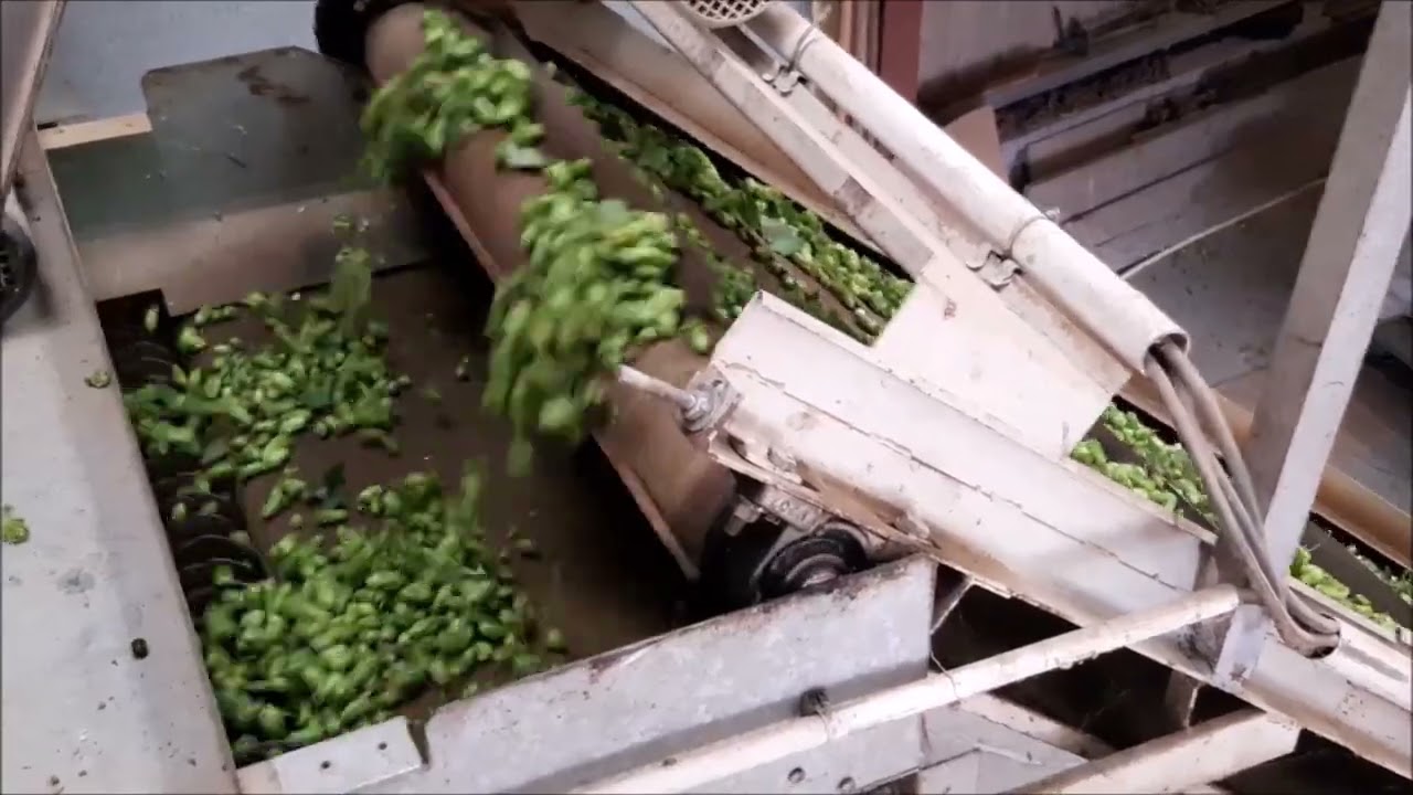 Visite guid&eacute;e d'une ferme houblonni&egrave;re en Alsace