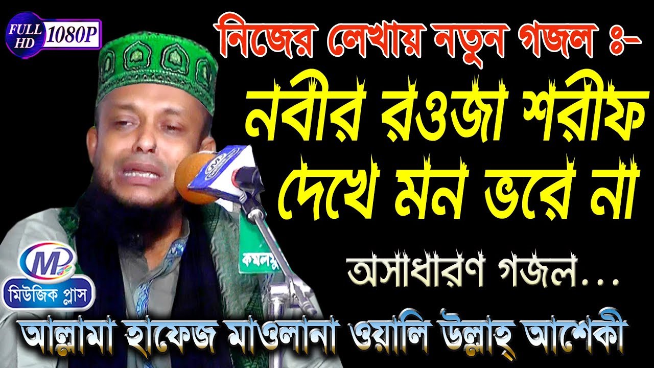 নতুন গজল | নবীর রওজা শরীফ দেখে মন ভরে না | অলি উল্লাহ আশেকী | Music Plus Waz