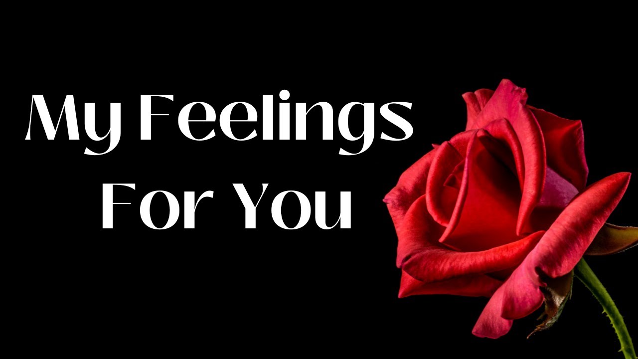 My Feelings For You💗 || Love Message From Df To Dm 💗