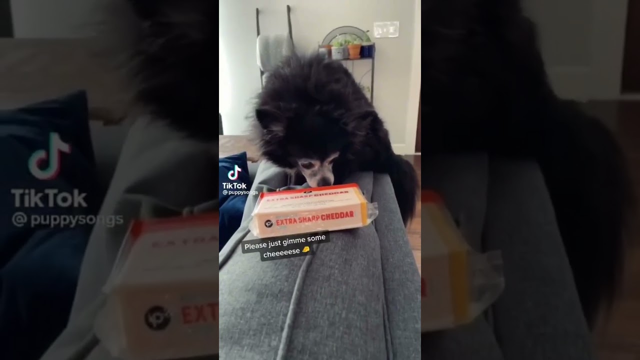 Cheese Tax (full)