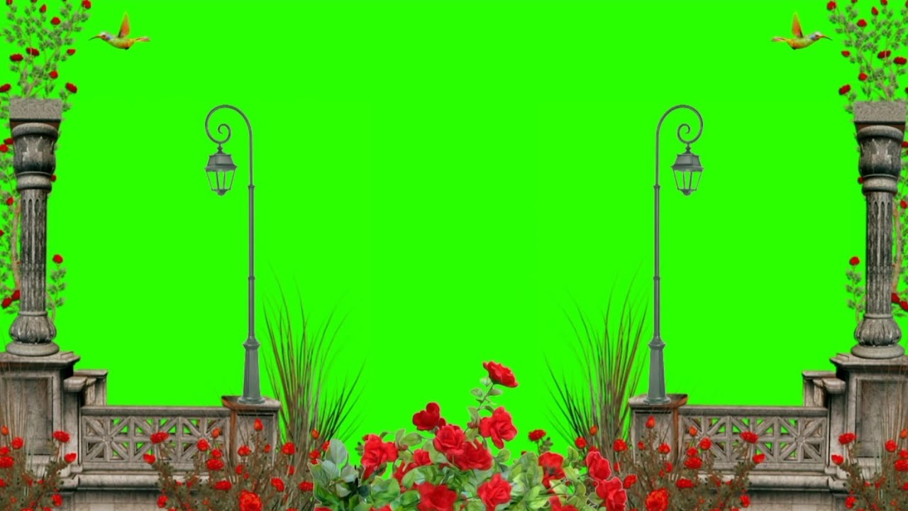 Green Screen Beautiful Garden Background HD Video / Green Screen Bird Flying 🐦 / Green Screen Nature
