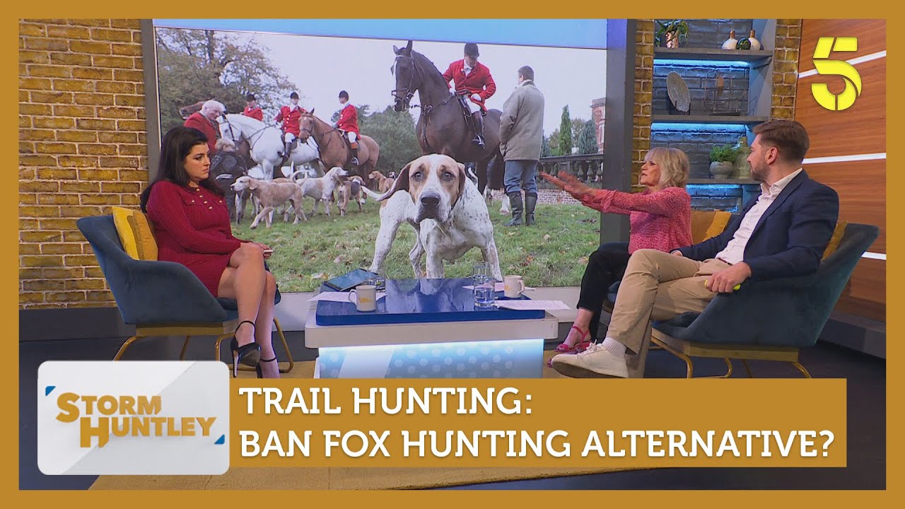 Trail Hunting: запретить альтернативу охоте на лис? При участии Нины Мысков и Чарли Роули | Storm...