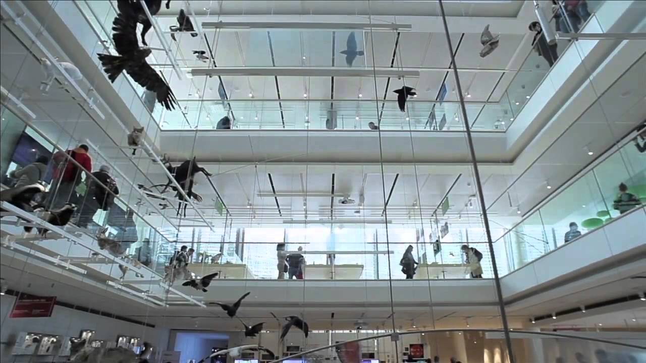 IL MUSE - Natura e ambiente al Museo delle Scienze di Trento