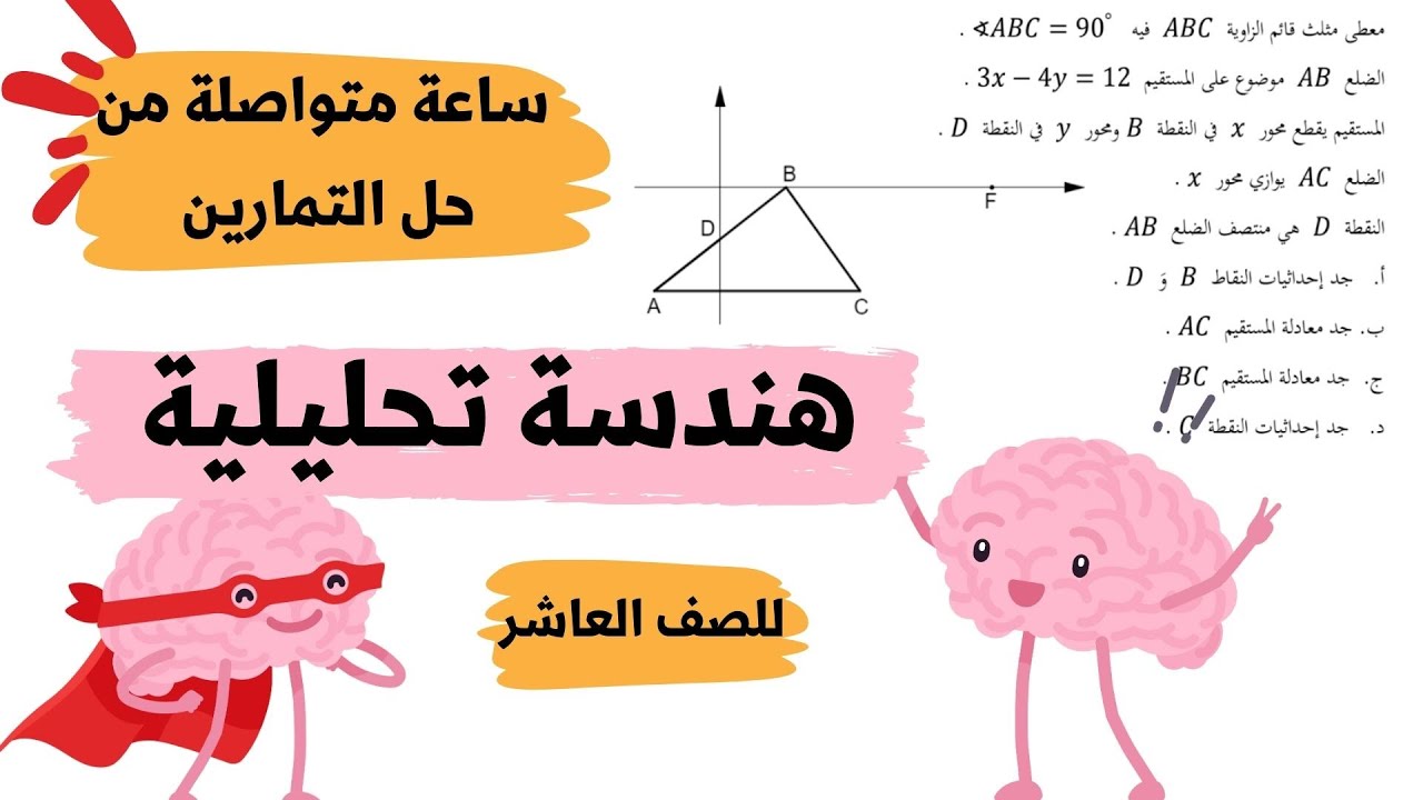 ساعة كاملة مراجعة تمارين في الهندسة التحليلية | رياضيات للصف العاشر | 4 وحدات | شرح وحل مفصل