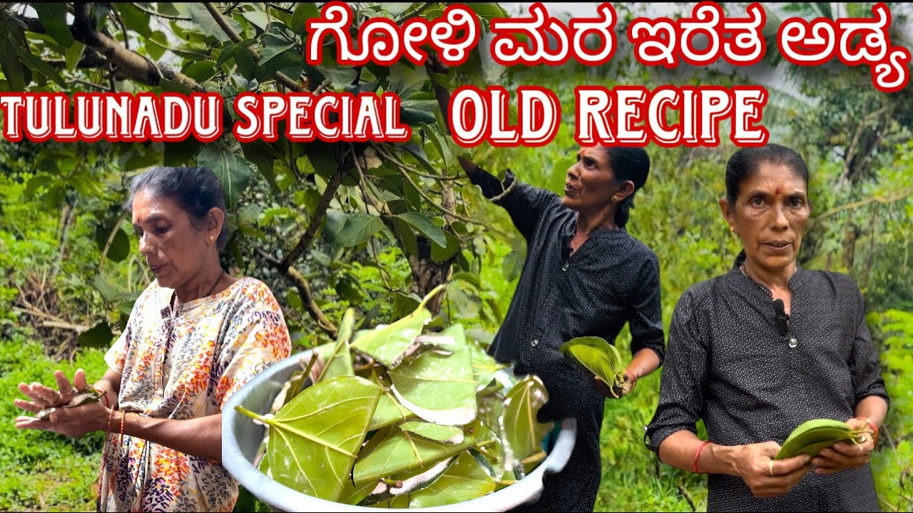 Goli Mara eretha adya | ಗೋಳಿ ಮರ ಇರೆತ ಅಡ್ಯ | Village Style Cooking | #mangalore #kudla #tulurecipe