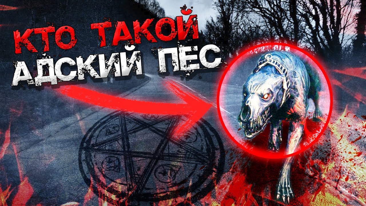 КТО ТАКОЙ АДСКИЙ ПЕС? ЭТО ПРОСТО ЖЕСТЬ! НИКОГДА НЕ ОБЩАЙСЯ С АЛИСОЙ В 3:00 НОЧИ!