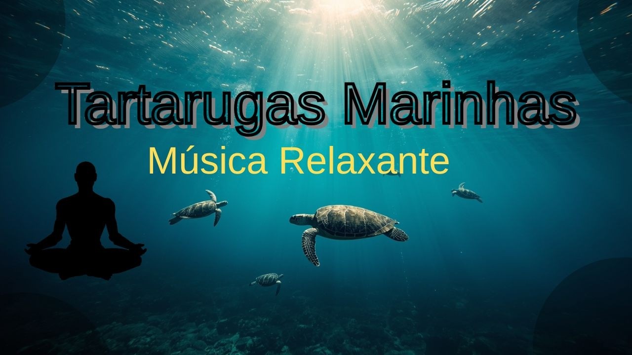 Tartarugas Marinhas - Música Relaxante