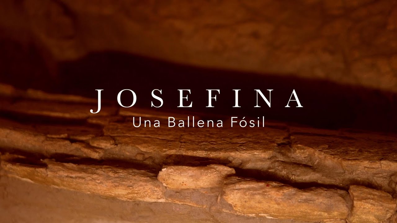 Josefina, Una Ballena Fósil
