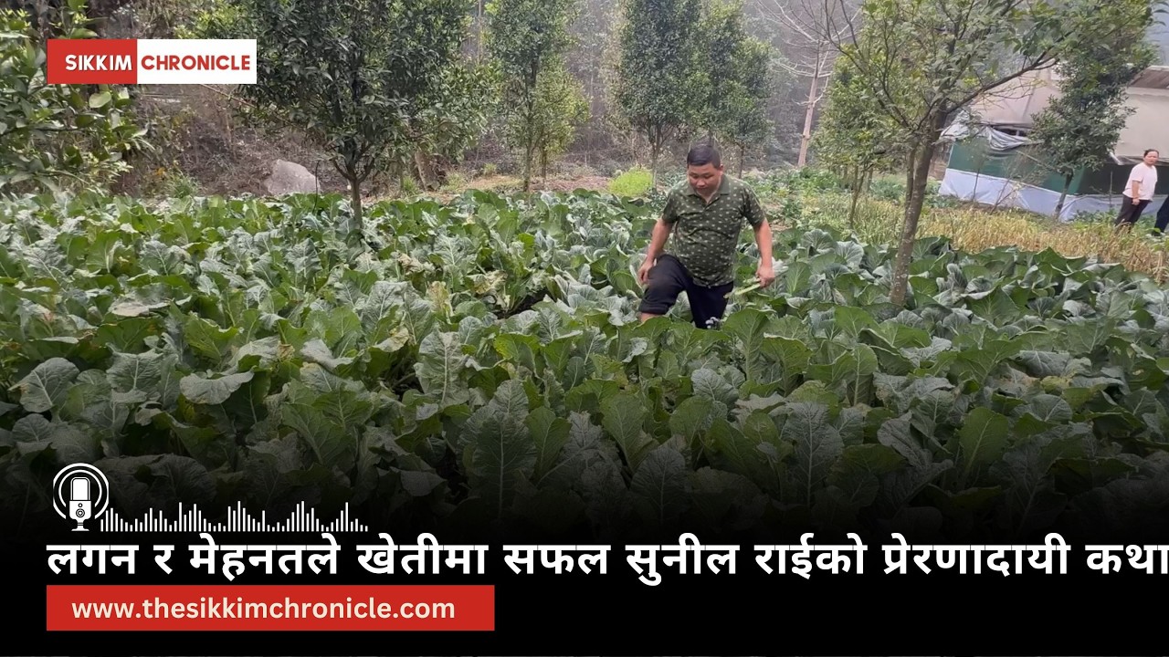 लगन र मेहनतले खेतीमा सफल सुनील राईको प्रेरणादायी कथा