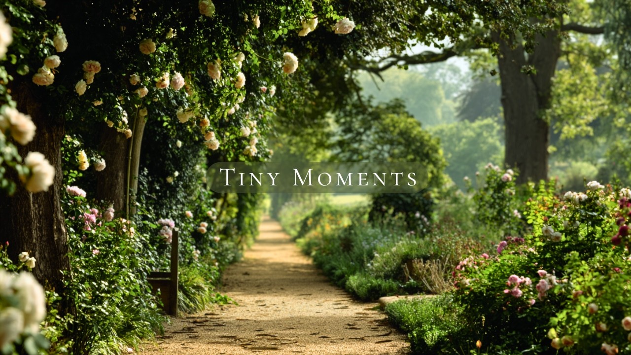 a soft piano for slow living mornings