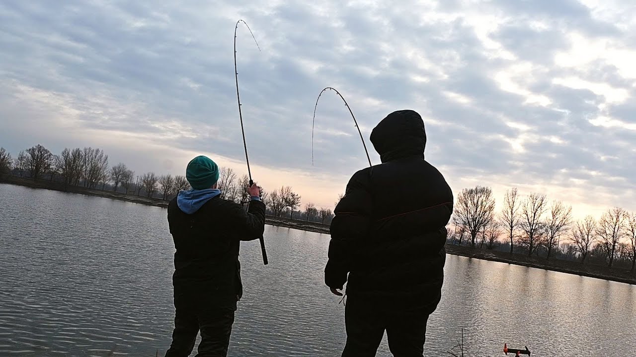 Šaran na Bučinu Pogaču - ZIMSKI FEEDER RIBOLOV