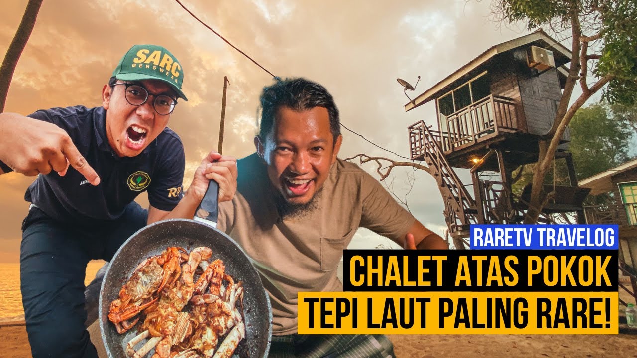 Tidur Dalam Chalet Atas Pokok Tepi Pantai Pekan,Pahang