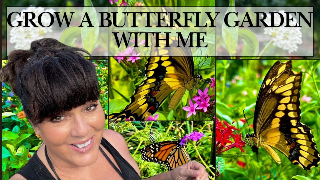 Meet Some of my Little Backyard Inhabitants, Butterfly Gardening in Florida is the Best