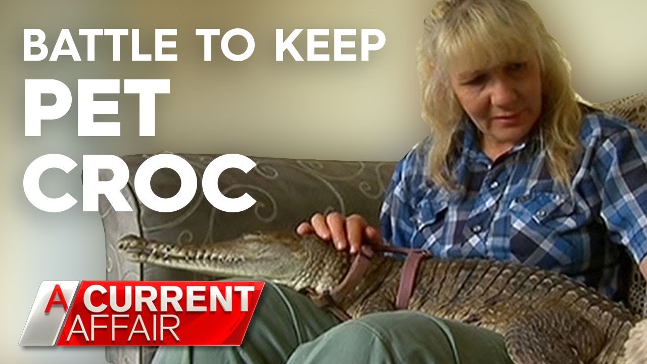 Croc Woman's battle to keep her pets | A Current Affair