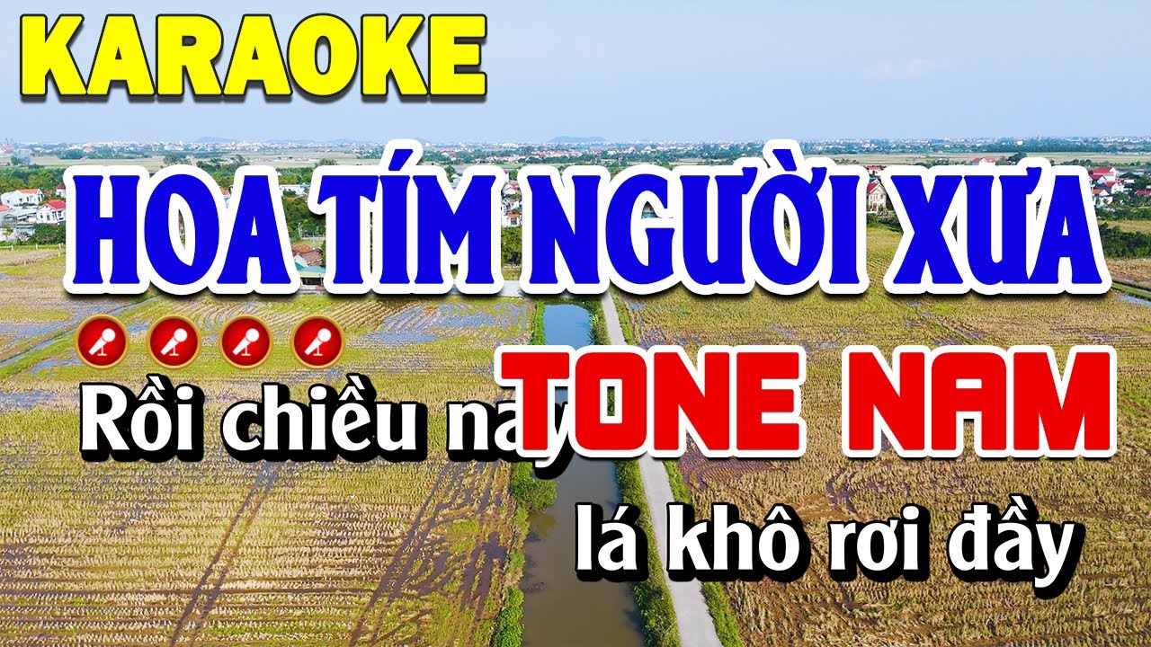 Hoa Tím Người Xưa Karaoke Tone Nam Nhạc Sống Dễ Hát | Thanh Sơn