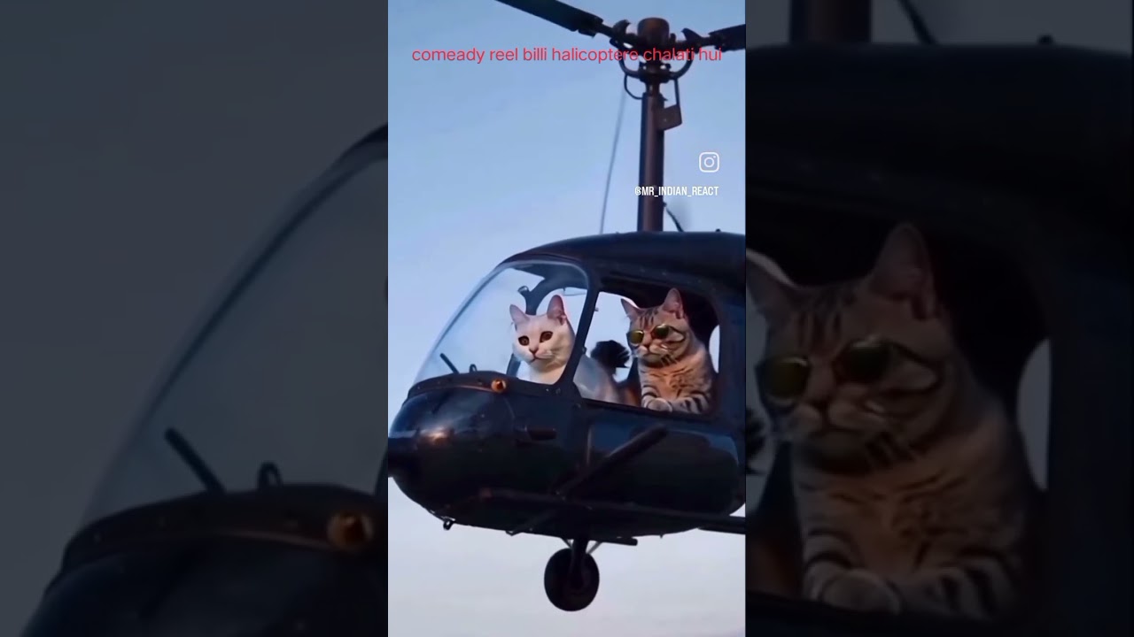 #youtubeshorts