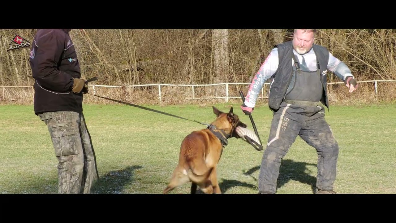 Ury Farsal 10 months - Lukavica 28. 12. 2025