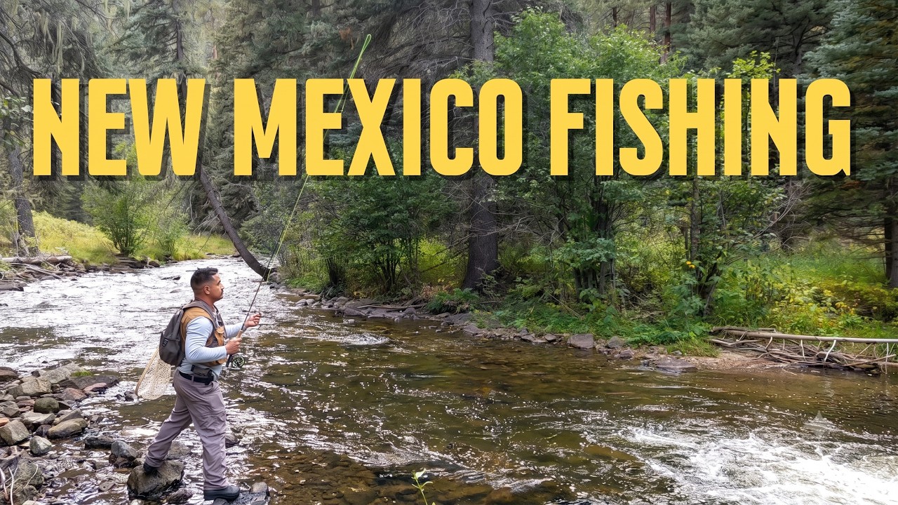 Top 5 Best Fishing Spots in Northern New Mexico