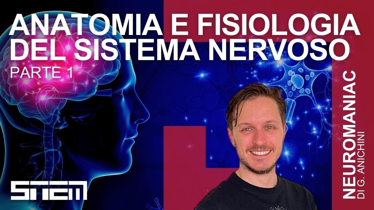Anatomia e fisiologia del Sistema Nervoso Pt. 1 - NeuroManiacs