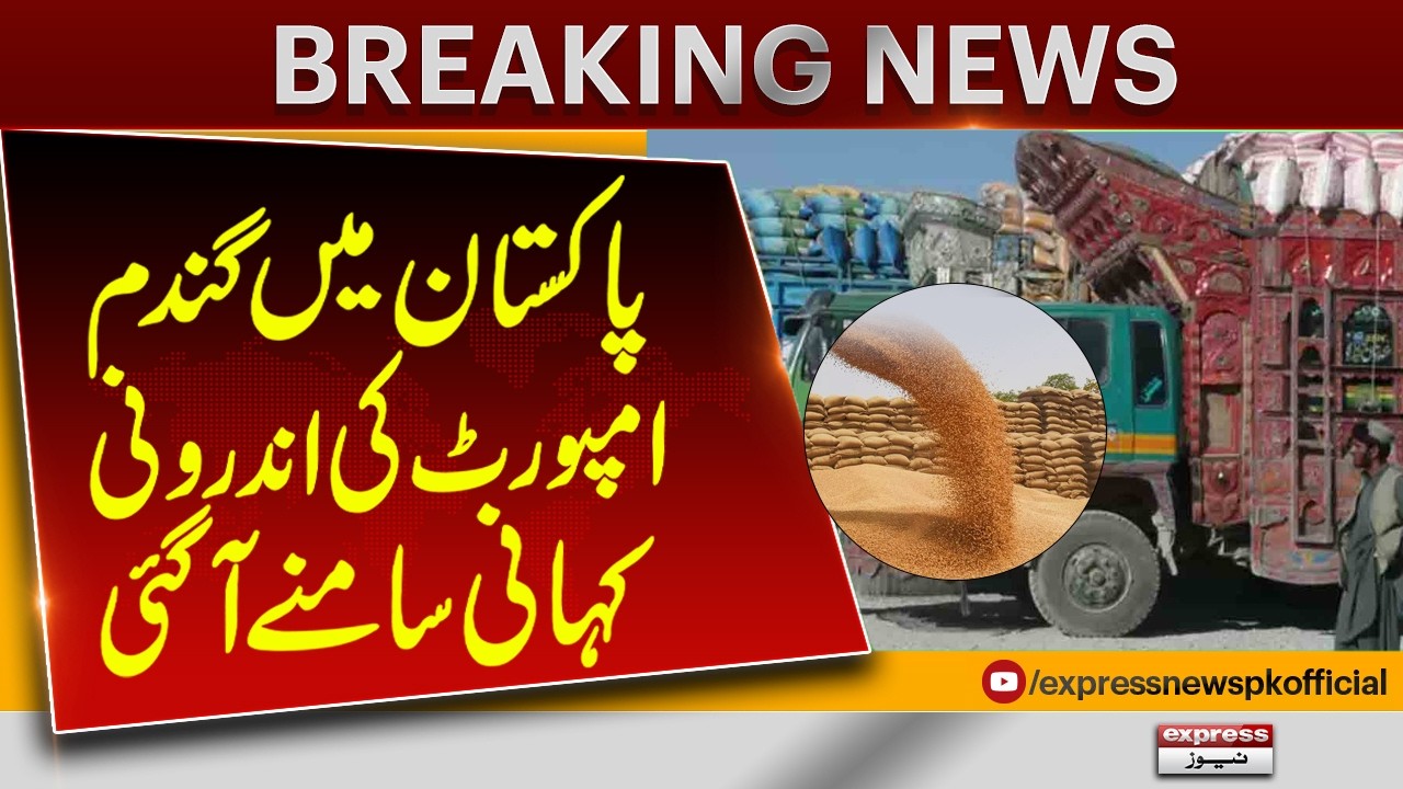 Pakistan Wheat Import Scandal | The Hidden Story Finally Revealed | Breaking News | Pakistan News