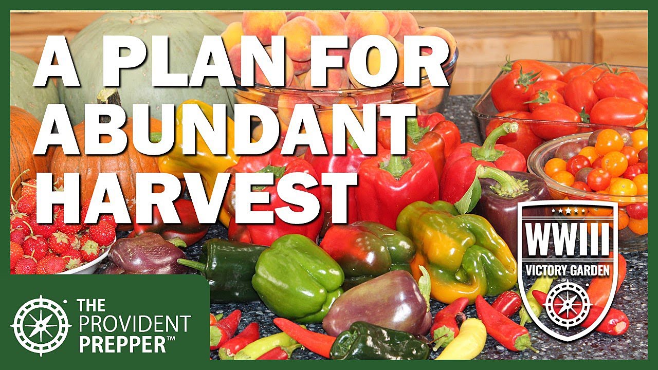 WWIII Victory Garden Challenge: A Successful Harvest Starts With Good Design and Planning