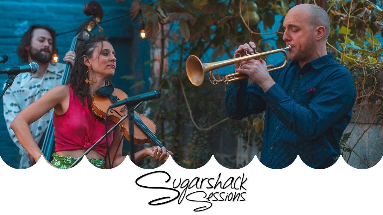 David Wax Museum - Wake Up and Dream (Live Music) | Sugarshack Sessions
